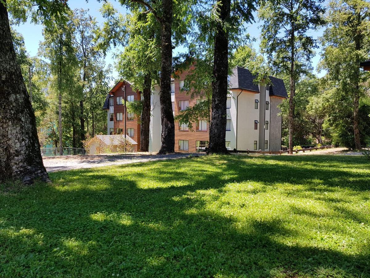 Ferienwohnung Depto Parque Suizo 800 Pucón Exterior foto